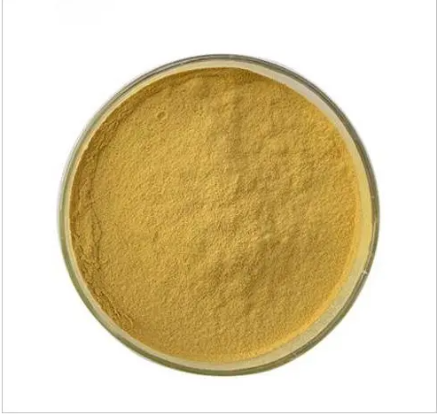 Schizochytrium sp. Powder (DHA22%) DHA