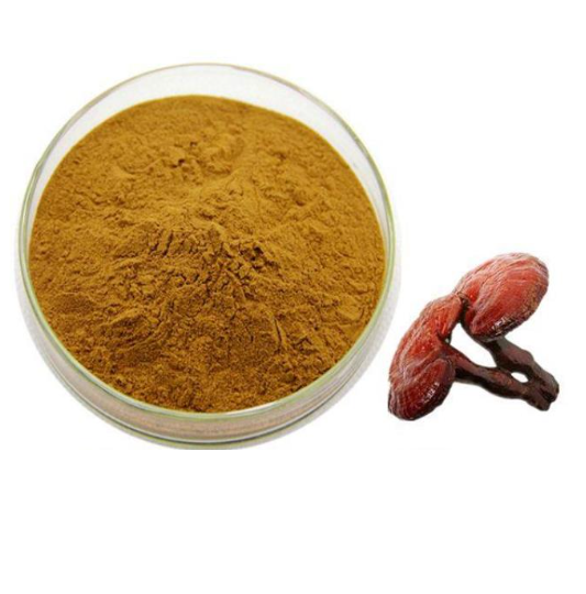 Shiitake Mushroom Extract 30% Polysaccharides 