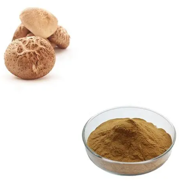 Organic Shiitake Extract 30% Glucan 