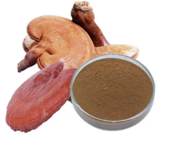 Reishi Mushroom Extract 2% Polysaccharide