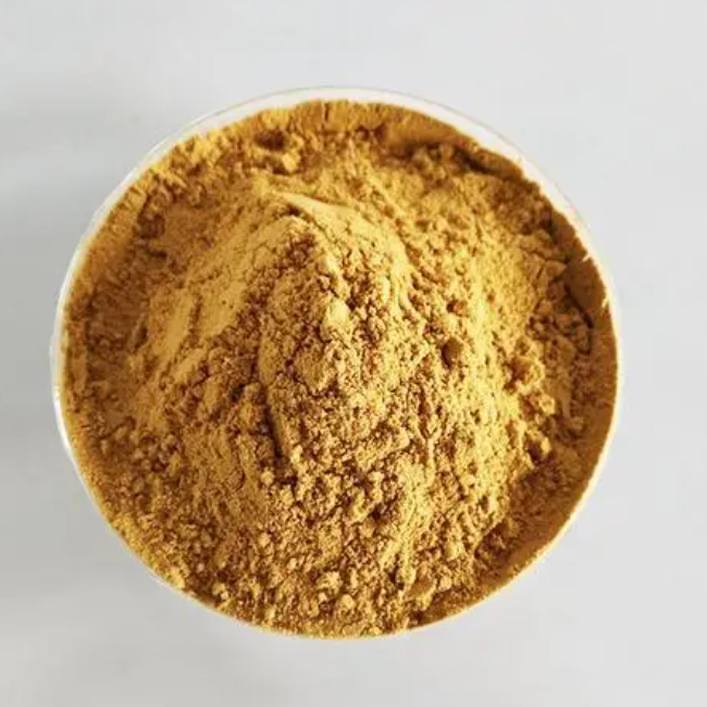 Schizochytrium sp. Powder (DHA22%) DHA