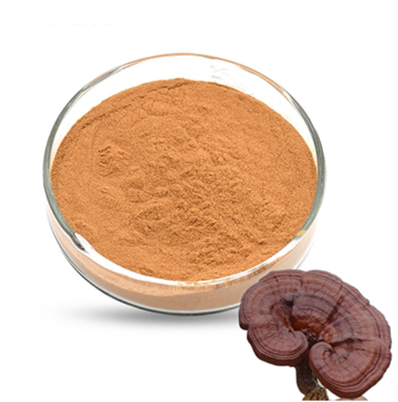 Reishi Mushroom Extract 2% Polysaccharide