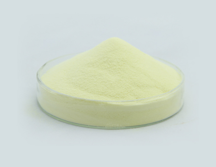 Vitamin D3 Powder 100CWS