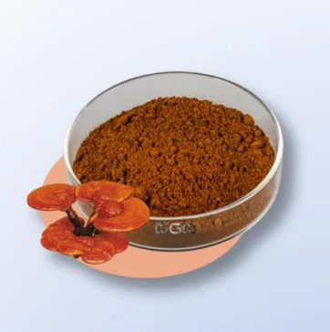 Reishi Mushroom Extract 2% Polysaccharide