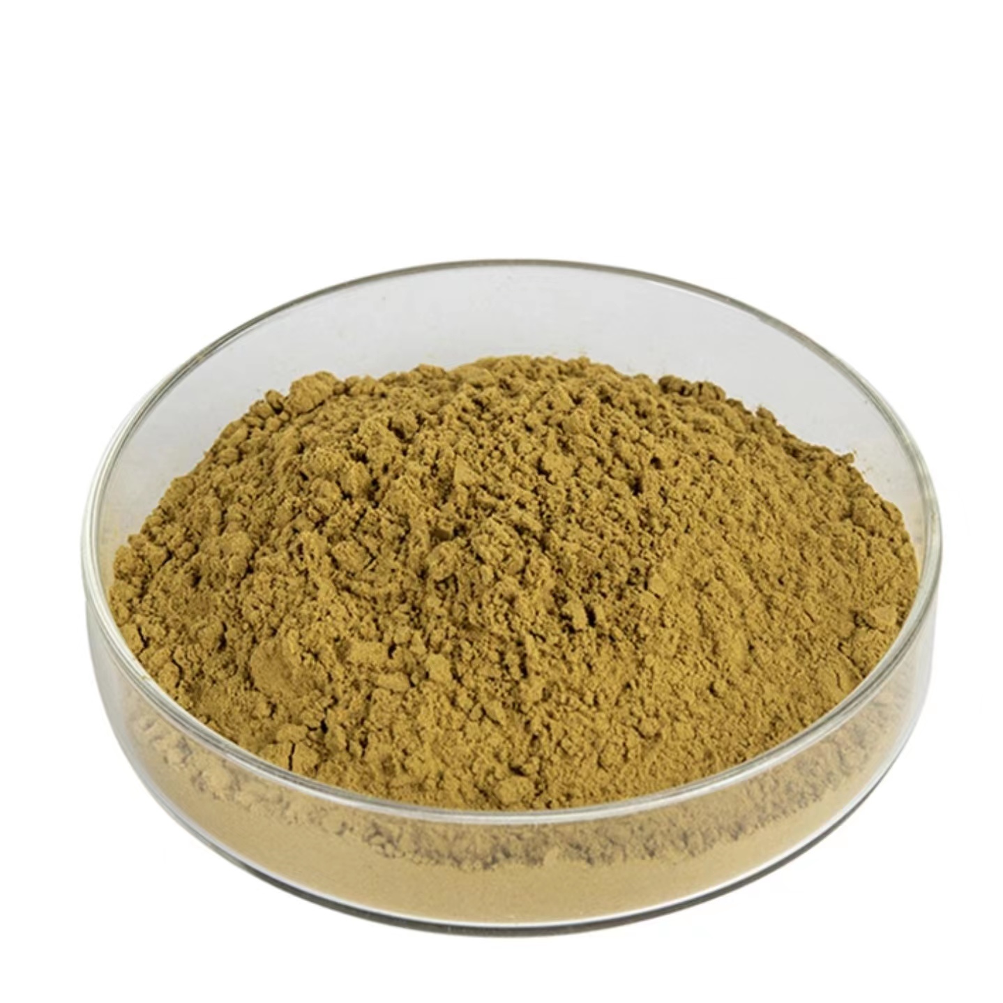 Mushroom Powder