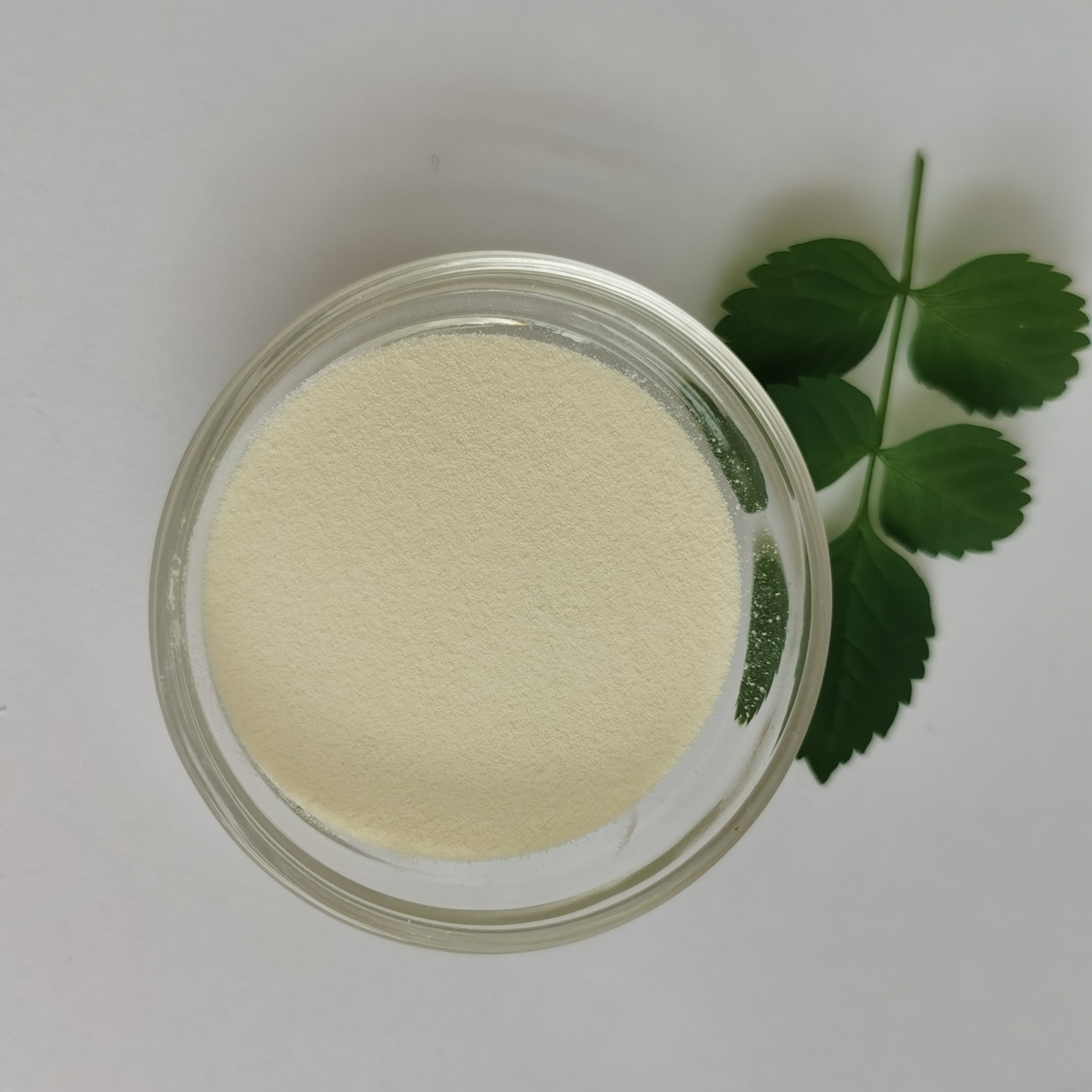  Ginseng Peptide Powder